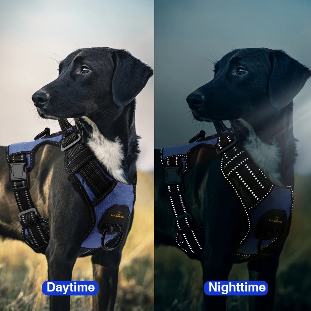 PawsEase Reflective No-Pull Harness