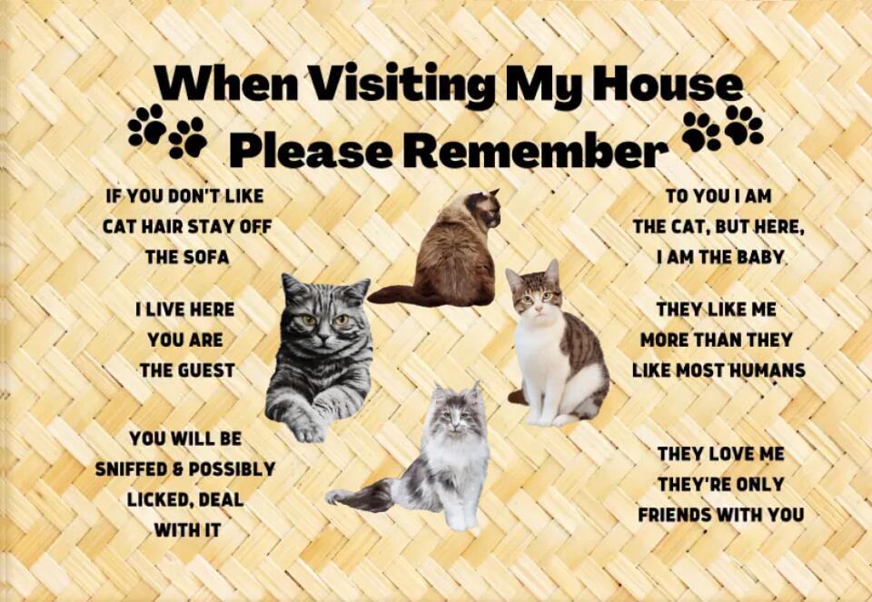 PLEASE REMEMBER WHEN VISITING CATS HOUSE PERSONALIZED DOORMAT
